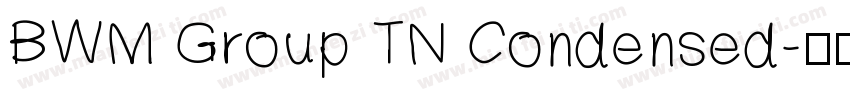 BWM Group TN Condensed字体转换